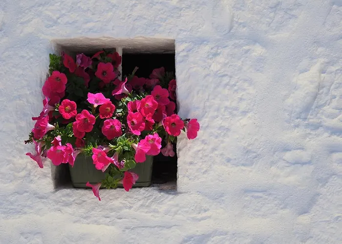 Alojamento de Acomodação e Pequeno-almoço Romantic Trulli