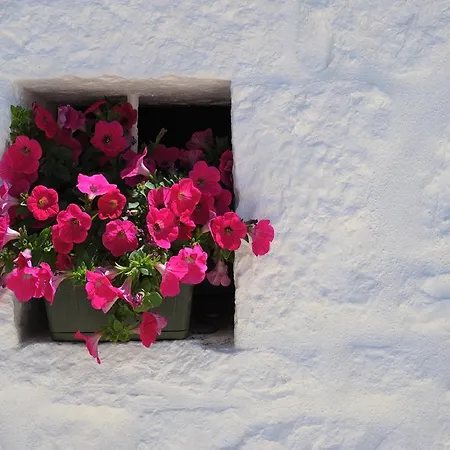 Bed and Breakfast Romantic Trulli